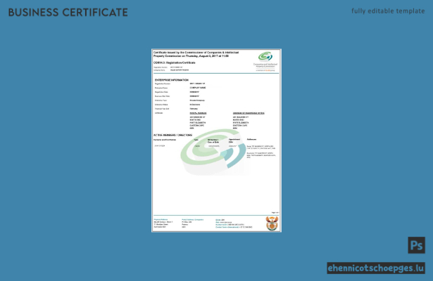 Vorschau eines Beispiels für eine Registrierungsbescheinigung in Südafrika